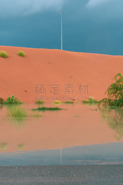 橙色,暴风雨,沙漠,水灾,反差,沙子,水,沙丘,植物群,乌云