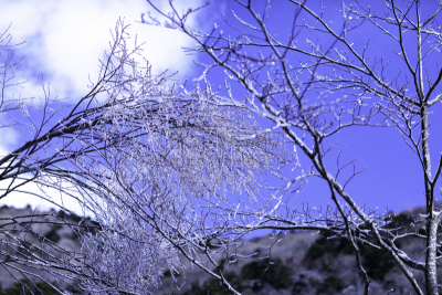 冬天,雪,日本,安静,云,深雪,木制,晴朗,长野城,白色