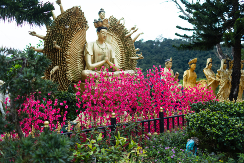 佛,修道院,男人,1万日元,黄金,著名景点,灵性,宁静,旅游目的地,艺术
