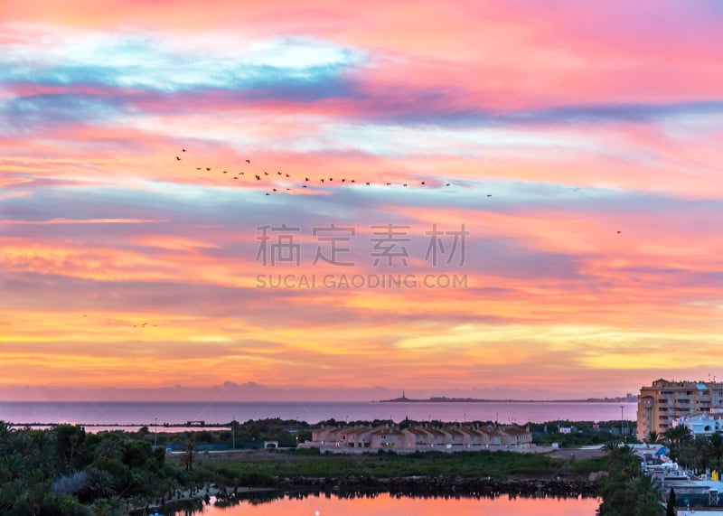 鸟类,曼加,天空,黎明,西班牙,多样,游艇,海港,曙暮光,云