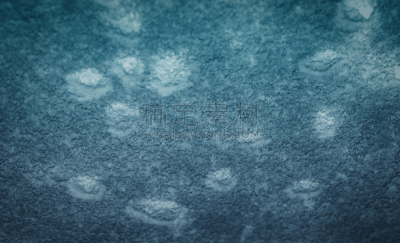 爪印,雪,汽车,狗,动物,爪,户外,方向,满画幅,自然