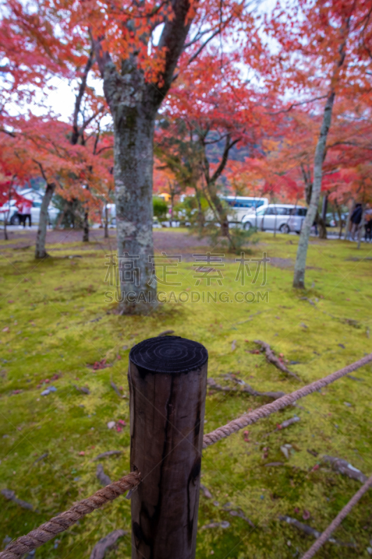 Colorfull colors in autumn season in Kyoto, japan