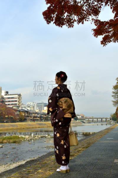和服,女人,京都府,日本人,鸭川,秋天,中老年女人,仅日本人,仅一个中老年女人,一个人