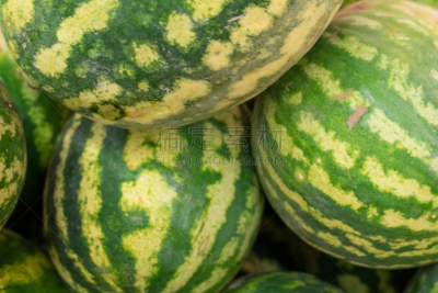 西瓜,超级市场,巨大的,剧场售票处,清新,中裤,食品,浆果,堆,农场