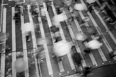 道口标志,行人,运动模糊,街道,雨,在活动中,湿,斑马,横截面,交通