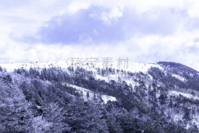 冬天,雪,日本,安静,云,深雪,木制,晴朗,长野城,白色