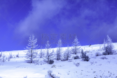 冬天,雪,日本,安静,云,深雪,木制,晴朗,长野城,白色