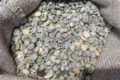 生食,咖啡豆,饮料,越南,清新,背景分离,纺织品,烤的,食品,烤咖啡豆
