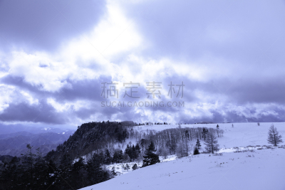 冬天,雪,日本,安静,云,深雪,木制,晴朗,长野城,白色