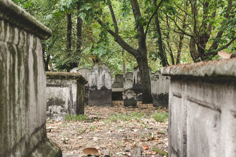 死亡安置地点,田地,伦敦中心,以前的,城市生活,死的,英国,枝繁叶茂,英格兰,著名景点