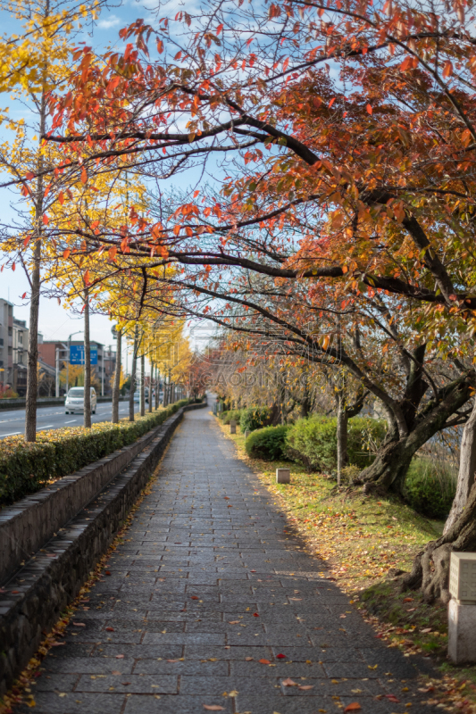 fine autumn day in Kyoto, japan