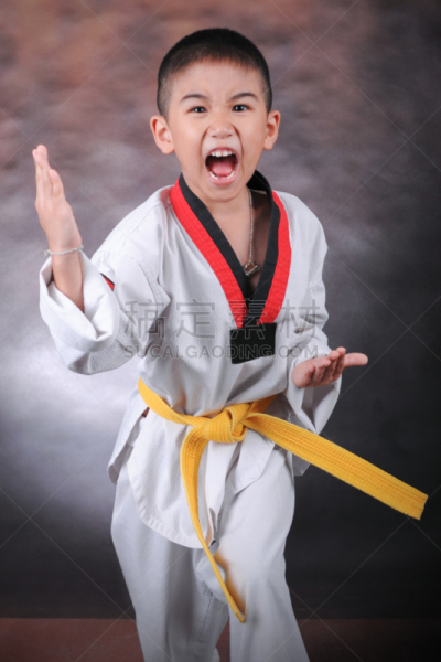Portrait of young smart asian kids doing karate - taekwondo moves at gym