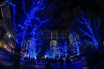 横滨高速铁路,横滨,夜晚,城市生活,十二月,霓虹灯,照明设备,海港,冬天