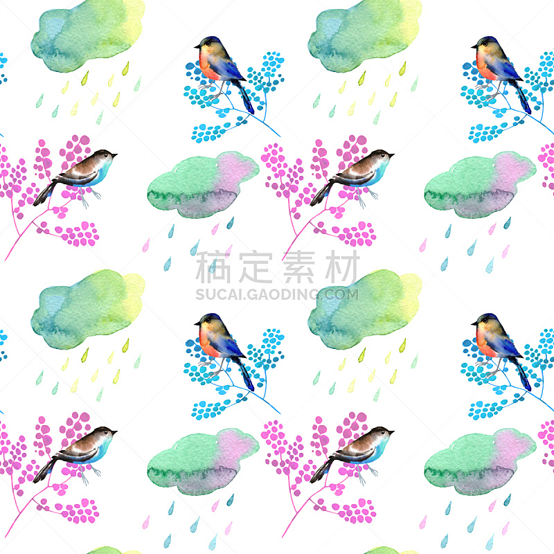可爱的,云,浆果,四方连续纹样,秋天,雨,鸟类,湿,水彩画颜料,背景分离