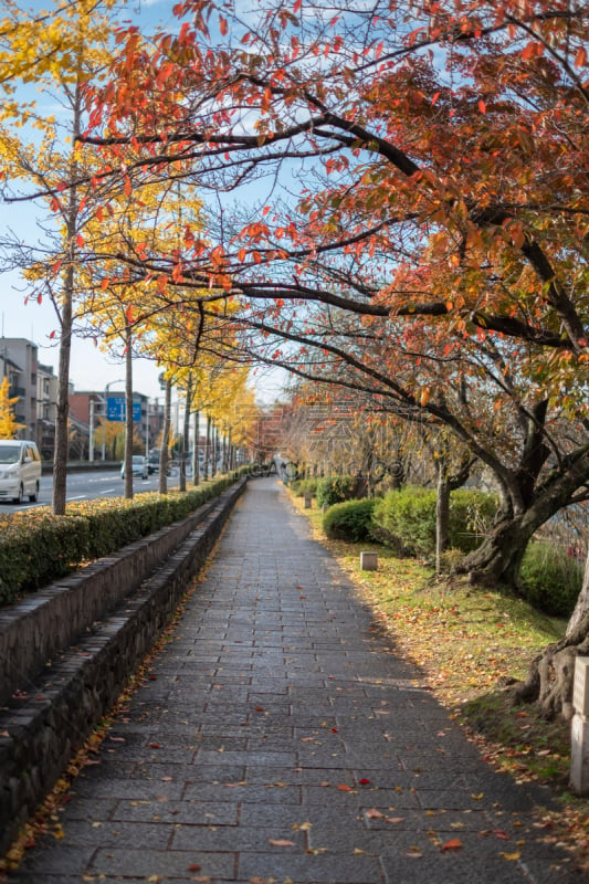 fine autumn day in Kyoto, japan