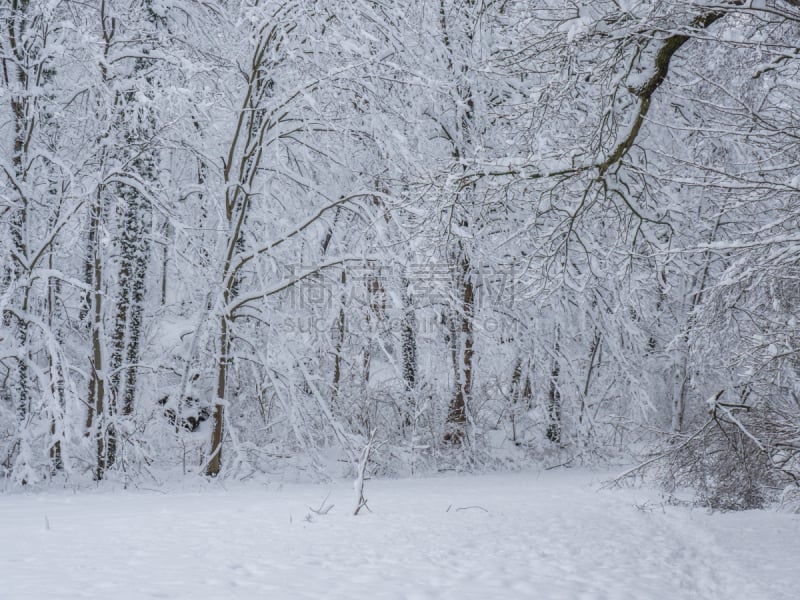 雪,冬天,德国,地形,寒冷,厄尔士山脉,环境,霜,户外,天空