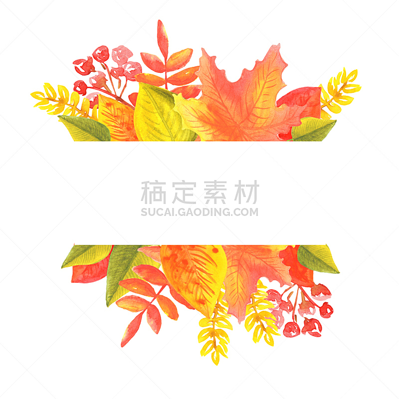 叶子,枝,白色背景,分离着色,水彩画,布告,九月,纸牌,十月,水彩画颜料