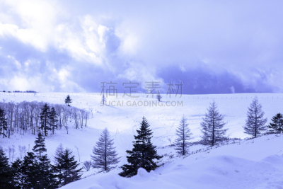 冬天,雪,日本,安静,云,深雪,木制,晴朗,长野城,白色