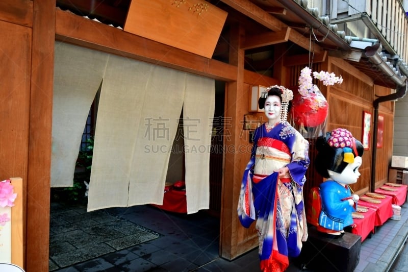 A Japanese woman in Maiko’s costume and hairstyle is standing in front of a Geisha House, in Miyakawa-cho, Gion, Kyoto. She wears traditional long-sleeved kimono with long dangling sash and her hair is elaborately decorated with seasonal flower-featured h