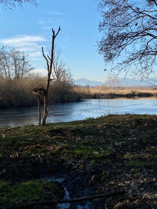 Views of north Italian swamp, natural reserve area, near Varese’s, during January