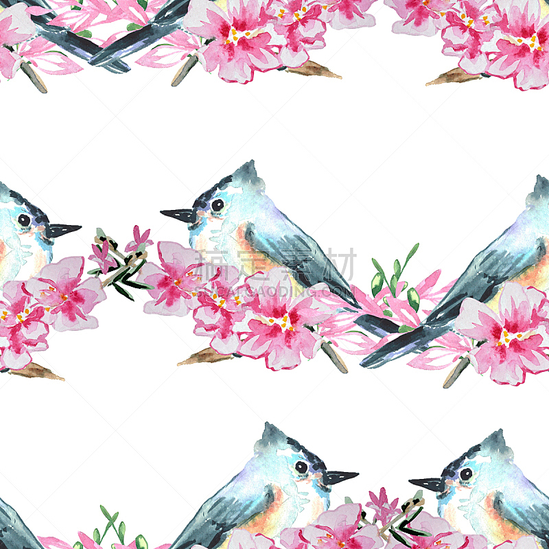 可爱的,鸟类,四方连续纹样,春天,背景,绘画插图,粉色,花朵,自然美,樱之花
