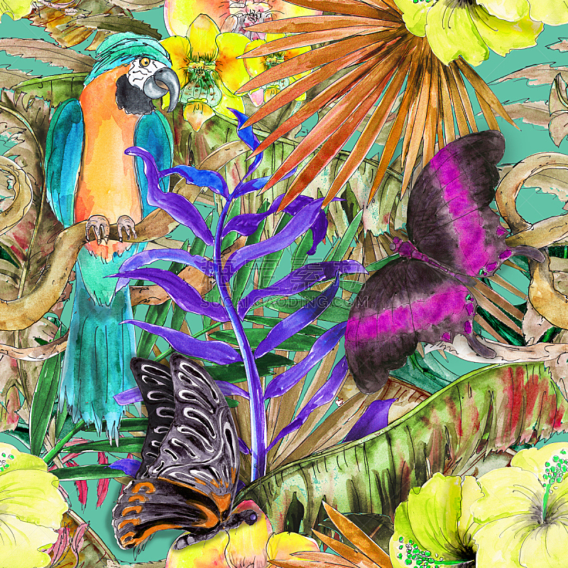四方连续纹样,蝴蝶,鸡尾酒,多色的,植物群,热带雨林,水彩画,动物手,绘制