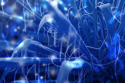 霜,丝兰,冬天,冻结的,特写,白昼,寒冷,维克托维尔,环境,雪