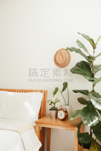 装饰物,起居室,舒服,卧室,生活方式,植物群,波西米亚风,复古风格,现代,住宅内部