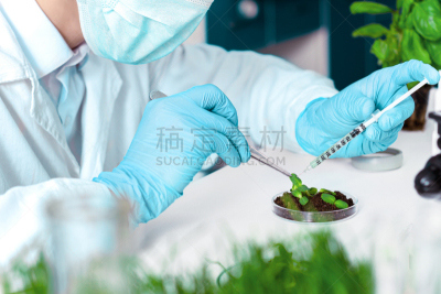 科学家,实验室,显微镜,专业人员,药,科学实验,遗传研究,技术,医疗器械,生物学家