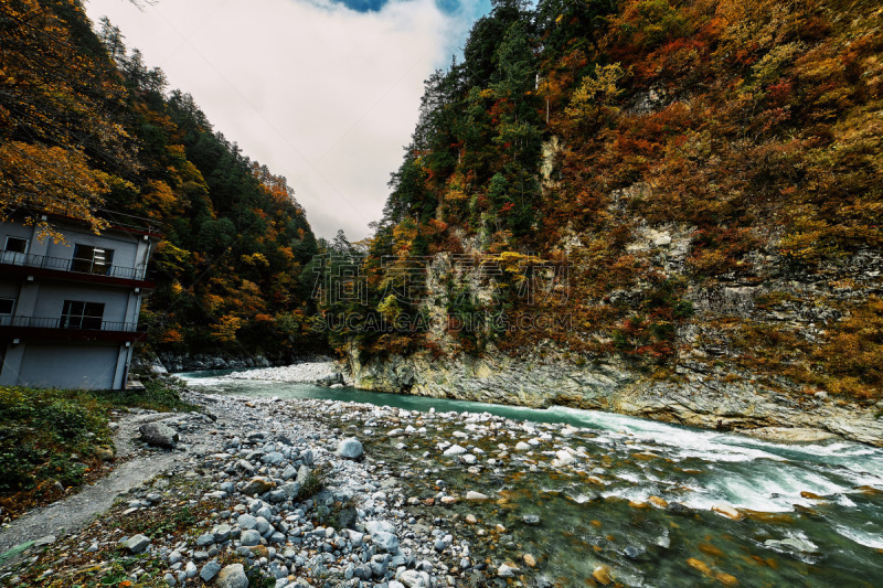 河流,日本,黑部峡谷,富山县,旅途,环境,著名景点,松树,车站,户外