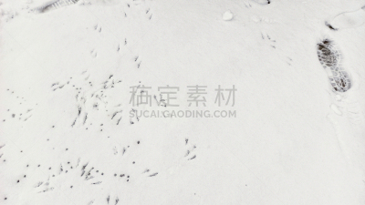 土耳其,清新,雪,鸽子,卡帕多奇亚,山谷,小路,白色,脚印,寒冷