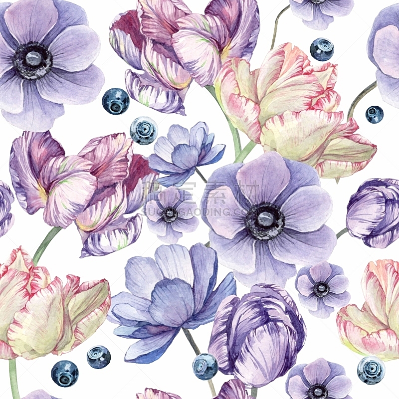郁金香,花蕾,银莲花,式样,水彩背景,蓝莓,玫瑰,贺卡,水彩画颜料,清新