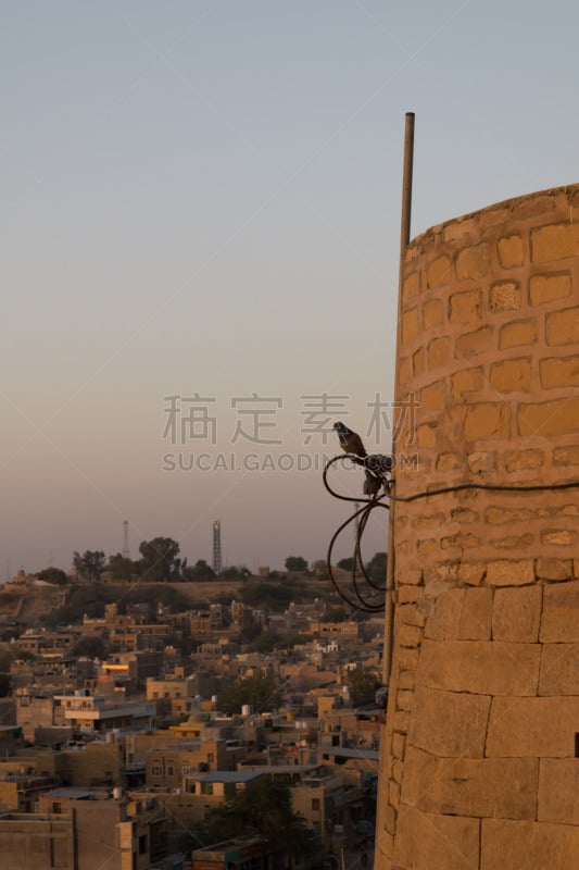 贾沙梅尔,都市风景,要塞,旅途,安静,汽车,砖,贾沙米尔城堡城堡,甜点心,鸟类