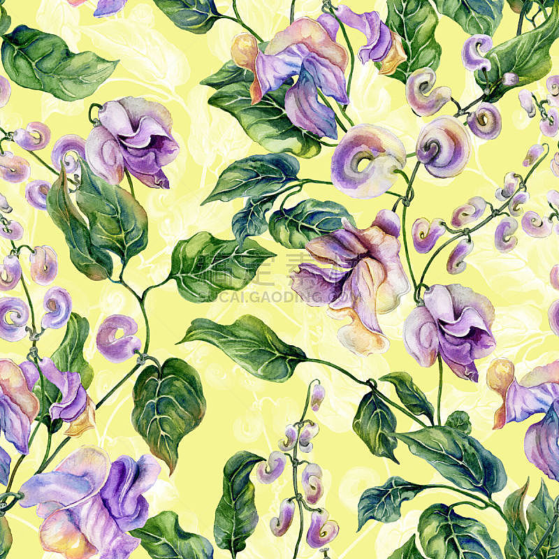 水彩画颜料,蜗牛藤,绘画插图,黄色背景,紫色,嫩枝,花纹,自然美,手工着色,花
