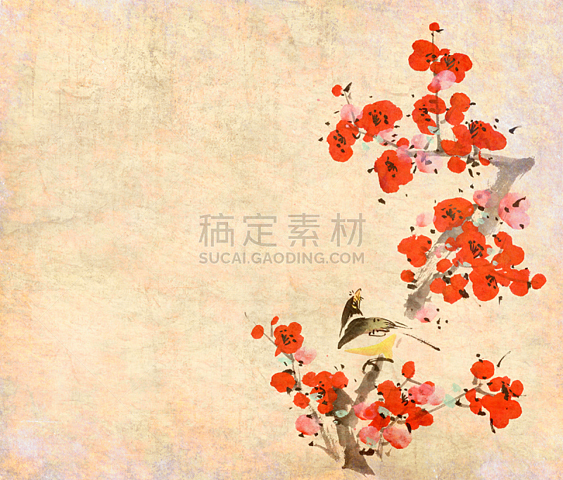 传统,鸟类,梅花,春天,中国画,绘画插图,绘画作品,纹理效果,古典式,明亮