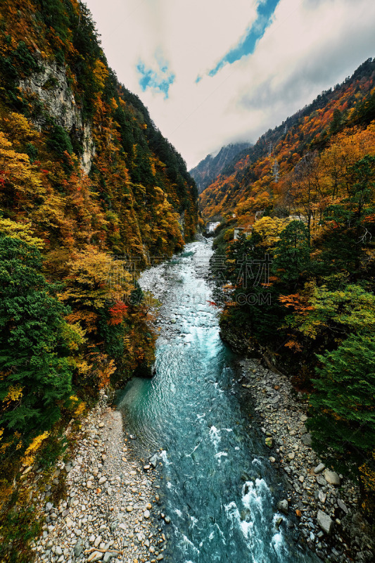 日本,黑部峡谷,风景,富山县,旅途,肖像,环境,女人,著名景点,松树