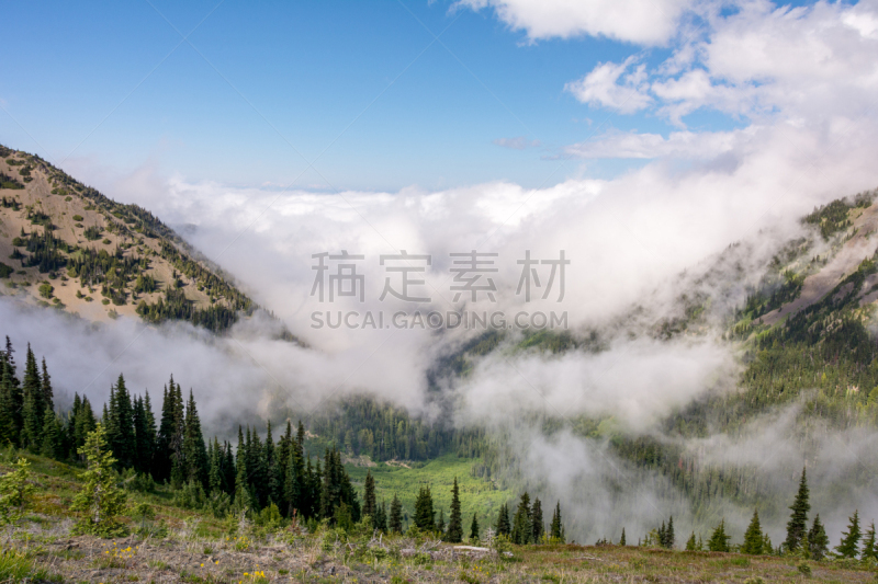 华盛顿州,山脉,奥林匹克山,美国,地形,山脊,云景,西北,飓风山脊,云