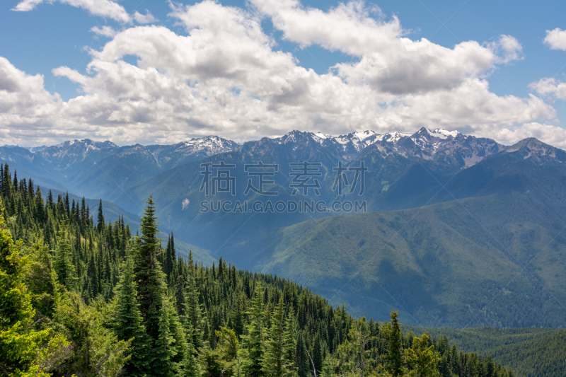 华盛顿州,山脉,风景,奥林匹克山,滑雪坡,美国,山脊,云景,西北,飓风山脊