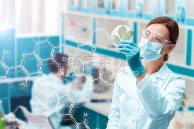科学家,实验室,农业,专业人员,药,科学实验,遗传研究,技术,医疗器械,生物学家