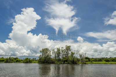 云,澳大利亚,湿地,达尔文,岩层,在上面,领土行为,草,池塘,水洞湖
