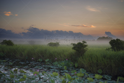 荷花,黎明,河漫滩,在上面,云景,曙暮光,热带气候,云,黄昏,亚洲睡莲