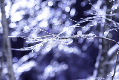 冬天,雪,日本,安静,云,深雪,木制,晴朗,长野城,白色