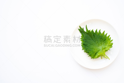 清新,紫苏,白色背景,农业,蔬菜,自然界的状态,热带气候,食品,食品杂货,成分
