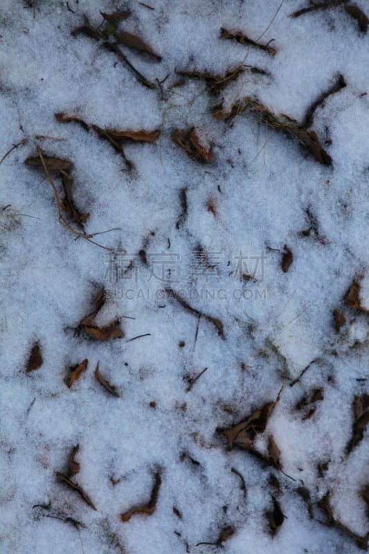 雪,干的,叶子,腰部以下,环境,橙色,霜,天气,草,大风雪