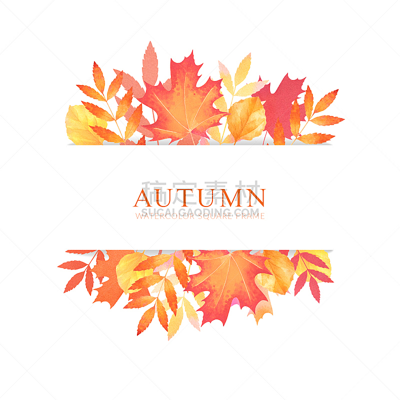 季节,秋天,绘画插图,叶子,枫树,水彩画,白桦,边框,户外,黄色