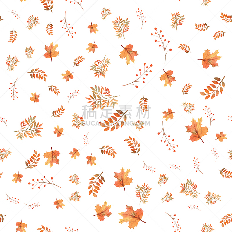 背景,绘画插图,白色,秋天,叶子,浆果,分离着色,水彩画,九月,十月