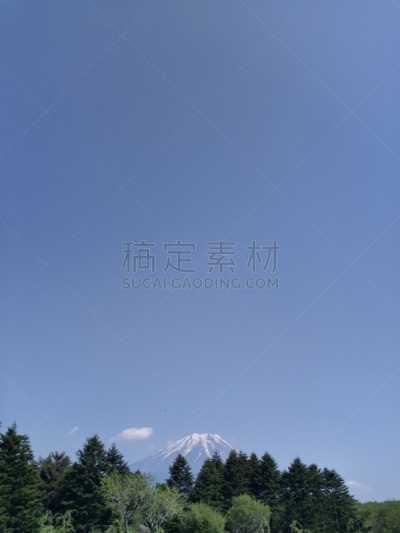 日本,茶,高速列车,著名景点,自然美,动物,春天,京都市,住宅内部,富士山