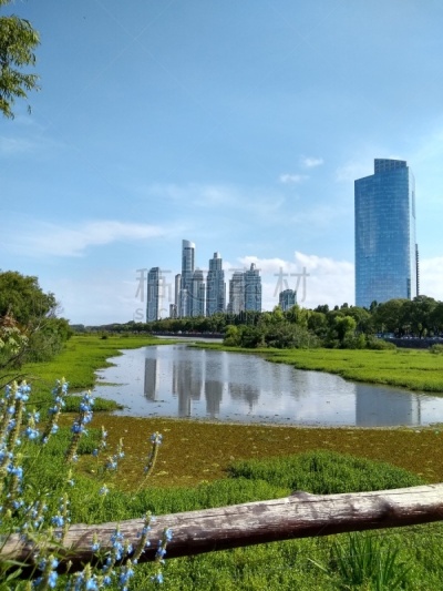 Reserva Ecológica Costanera Sur, is a 865-acre tract of low land on the Río de la Plata riverbank located on the east side of the district of Puerto Madero in Buenos Aires CBD, Argentina.