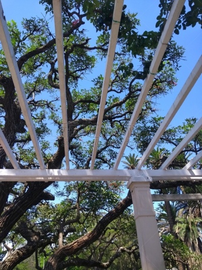 阿根廷,巴勒莫,布宜诺斯艾利斯,特拉华,高架铁路铁轨,玫瑰公园,草坪,浪漫,公园,草