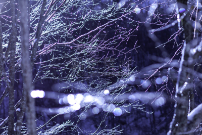 冬天,雪,日本,安静,云,深雪,木制,晴朗,长野城,白色